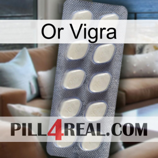Gold Vigra 08